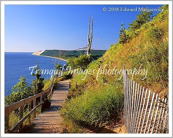 450556   Boardwalk in Sleeping Bear Dunes NP